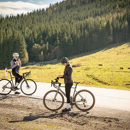 Bergchalet Mit Wellness-oase, Pur Chalet *