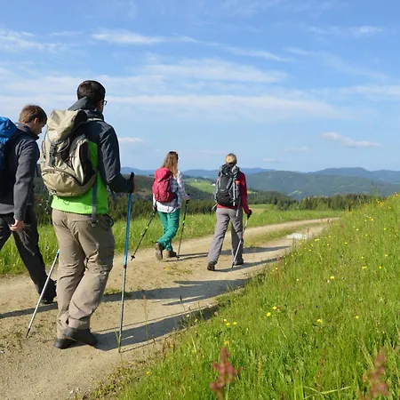 Bergchalet Mit Wellness-oase, Pur