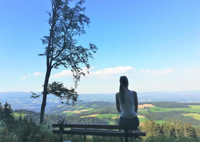 Bergchalet Mit Wellness-oase, Pur Alpehytte Pöllauberg