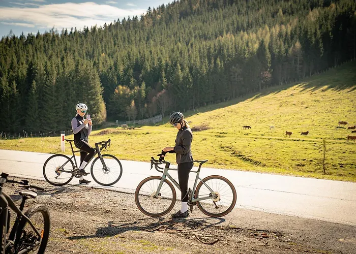 Bergchalet Mit Wellness-oase, Pur Alpehytte *