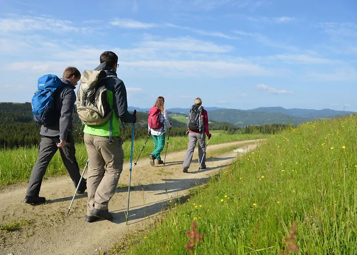 Bergchalet Mit Wellness-oase, Pur